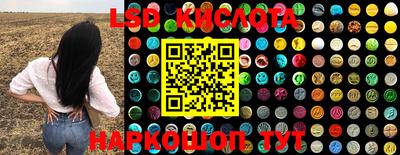 крисы Краснодар