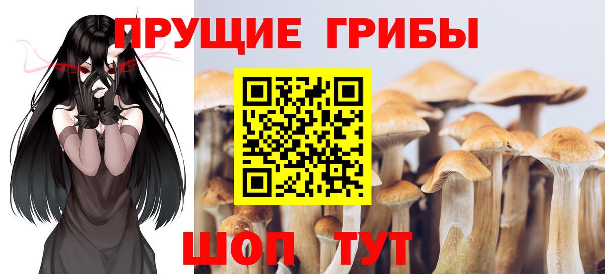 Коркино  Галлюциногенные грибы Psilocybe  Вход с VPN 